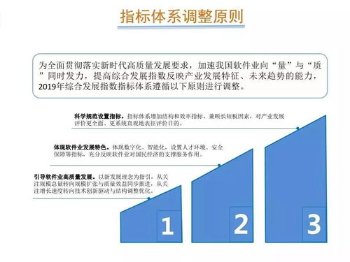 2019年中國軟件和信息技術(shù)服務(wù)業(yè)綜合發(fā)展指數(shù)報告發(fā)布